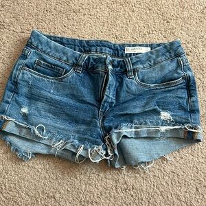 BLANK NYC tomboy short